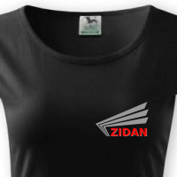 Zidan